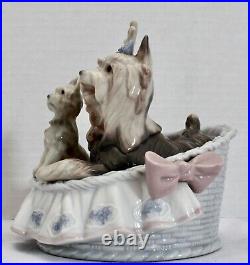 Lladro OUR COZY HOME by José Luis Alvarez. DOGS. Rare Signature Juan Lladro MINT