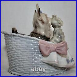 Lladro OUR COZY HOME by José Luis Alvarez. DOGS. Rare Signature Juan Lladro MINT