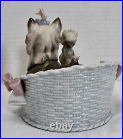 Lladro OUR COZY HOME by José Luis Alvarez. DOGS. Rare Signature Juan Lladro MINT