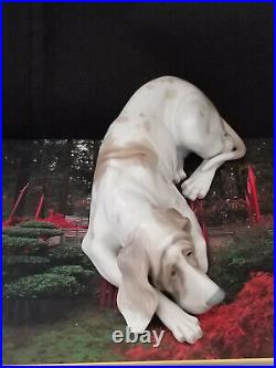 Lladro Old Dog 1067 Blood Hound 10 long, retired 1978