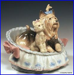 Lladro Our Cozy Home #6469 Mother Dog & Yorky Puppy In Bed Mib