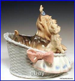 Lladro Our Cozy Home #6469 Mother Dog & Yorky Puppy In Bed Mib