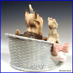 Lladro Our Cozy Home #6469 Mother Dog & Yorky Puppy In Bed Mib