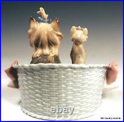 Lladro Our Cozy Home #6469 Mother Dog & Yorky Puppy In Bed Mib