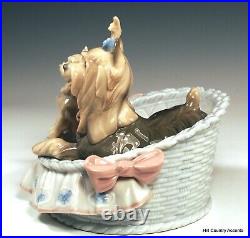 Lladro Our Cozy Home #6469 Mother Dog & Yorky Puppy In Bed Mib