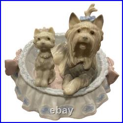 Lladro Our Cozy Home Mint Retired in Box #6469 Porcelain Yorkie Dog Figurine