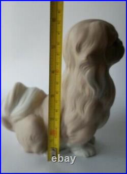 Lladro Pekinese Sitting Dog Unusual Matte Finish Collectible Condition Retired