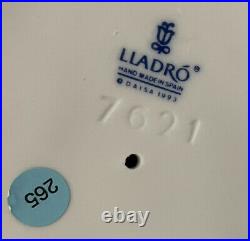 Lladro Pick Of The Litter 7621 Porcelain Figurine Girl With Dog & Puppies Nwot