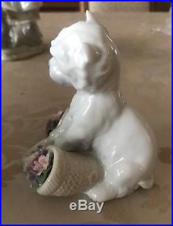 Lladro Playful Character Dog #8207 Mint Condition With Box & Papers