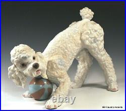 Lladro Playful Poodle #6557 Large Dog Playing With Ball Msrp $760 Mint