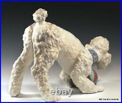 Lladro Playful Poodle #6557 Large Dog Playing With Ball Msrp $760 Mint