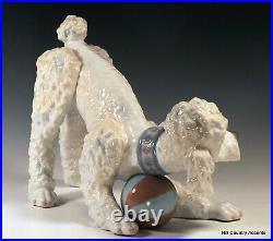 Lladro Playful Poodle #6557 Large Dog Playing With Ball Msrp $760 Mint