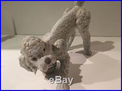 Lladro Playful Poodle Dog Gloss Finish Figurine 6557