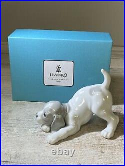 Lladro Playful Puppy Dog Brand New In Box #9135 Cute Grey & White