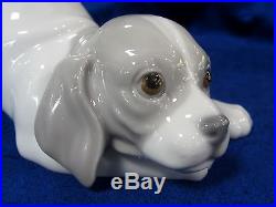 Lladro Playful Puppy Dog Brand New In Box #9135 Cute Grey & White Free Shipping