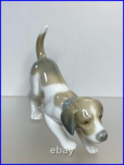 Lladro Playful Puppy Figurine Glossy white & brown porcelain frisky dog Daisa