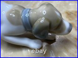 Lladro Playful Puppy Figurine Glossy white & brown porcelain frisky dog Daisa