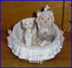 Lladro Pocelain Figurine Our Cozy Home #6469 Yorkies Dogs No Box