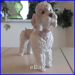 Lladro Poodle # 1259 Aka Woolly Dog Mint Fast Shipping
