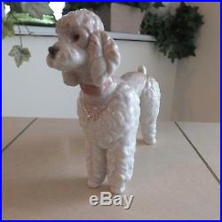 Lladro Poodle # 1259 Aka Woolly Dog Mint Fast Shipping
