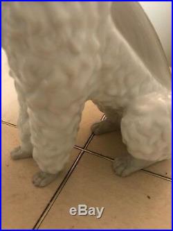 Lladro Poodle # 325.13 Old & Very Rare Dog Mint Condition Fast Shipping! $2800