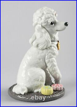 Lladro Poodle With Mochis Dog Figurine #9472 Brand Nib Adorable Save$$ F/sh