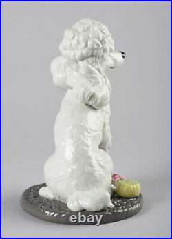 Lladro Poodle With Mochis Dog Figurine #9472 Brand Nib Adorable Save$$ F/sh