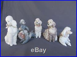 Lladro Poodles #1257, 1258, 1259 & #6337 All Perfect, All Gorgeous