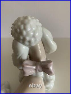 Lladro Porcelain #6337 French Poodle Dog Pink Bow Retired Figurine