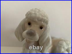 Lladro Porcelain #6337 French Poodle Dog Pink Bow Retired Figurine