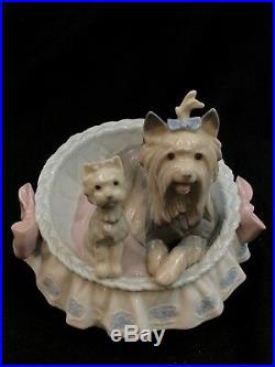 Lladro Porcelain 6469 OUR COZY HOME LLADRÓ YORKSHIRES DOGS YORKIE PUPPY