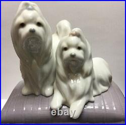 Lladro Porcelain Figurine 6688 Looking Pretty Maltese Dogs on Ottoman Glossy Box
