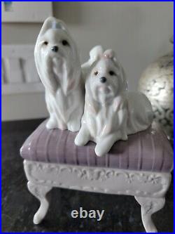 Lladro Porcelain Figurine 6688 Looking Pretty Maltese Dogs on Ottoman RARE