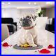 Lladro Puppie Pug 01009689 #9689 dog