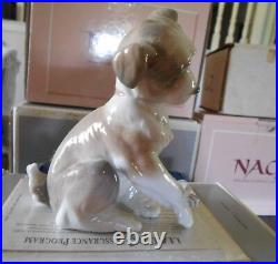 Lladro Puppy With Snail #6211-new Friend 1971-1981-excellent Condidion 5x4/75