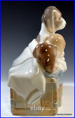 Lladro Pups In The Box #1121 Mother & 3 Puppies -so Cute $875 Mint Cond
