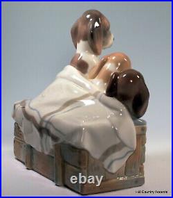 Lladro Pups In The Box #1121 Mother Dog & Three Puppies $875 Large, Mint