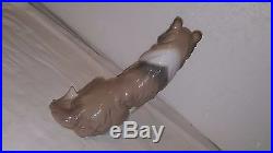 Lladro Sitting Collie Dog Porcelain Gloss Figurine Retired 1997-00 #6455