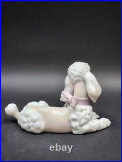 Lladro Sitting Poodle Dog Glazed Porcelain Figurine # 6337 Mint