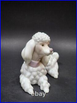 Lladro Sitting Poodle Dog Glazed Porcelain Figurine # 6337 Mint