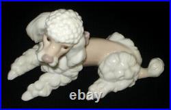 Lladro Sitting Poodle Dog Glazed Porcelain Figurine # 6337 Mint