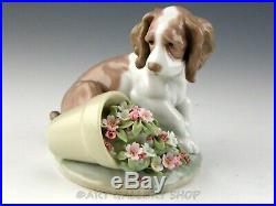 Lladro Society Figurine IT WASN'T ME! DOG WITH FLOWERS #7672 Retired Mint Box