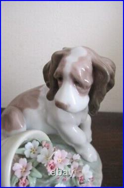Lladro Spain Porcelain Figurine 7672 It Wasn't Me Dog Flowers