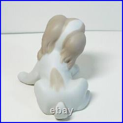 Lladro Spaniel Dog Snail Uncatalogued Prototype Matte Porcelain Vintage 3 Tall