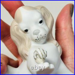 Lladro Spaniel Dog Snail Uncatalogued Prototype Matte Porcelain Vintage 3 Tall