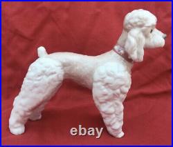 Lladro Standing Poodle Dog (wooly Dog) Glazed Porcelain Figurine #1259 Mint