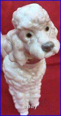 Lladro Standing Poodle Dog (wooly Dog) Glazed Porcelain Figurine #1259 Mint