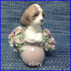 Lladro Take Me Home 6574 Dog with Flowers Figurine 4.25 EUC in Box