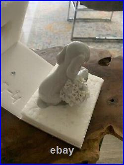 Lladro Take Me Home 7048 (RE-DECO) Figurine Dog Puppy Flower Pot Original Box