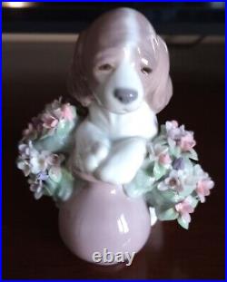 Lladro Take Me Home! Dog Figurine #6574